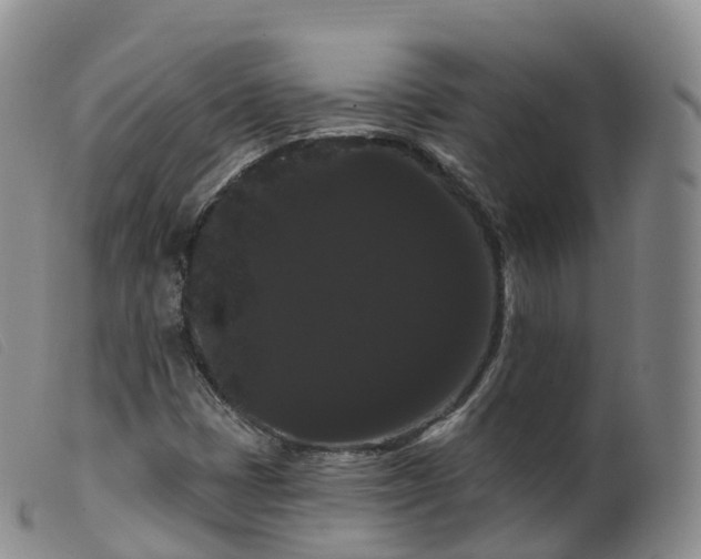 X0000099381401200805221754