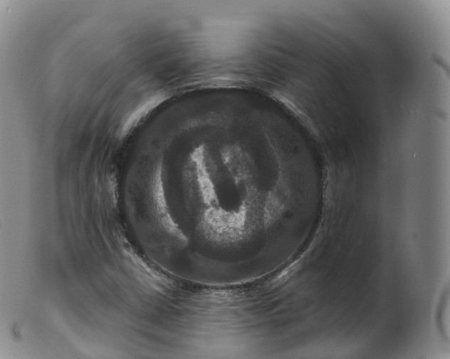 X0000099381402200805221754