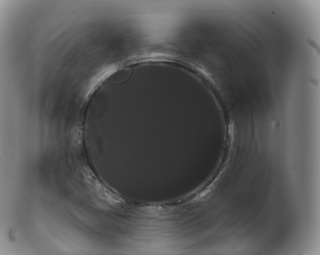 X0000099381405200805221754