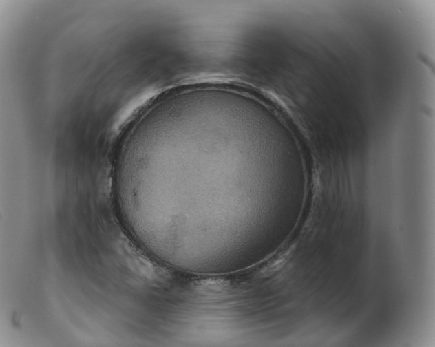 X0000099381406200805221754