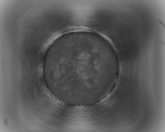 X0000099381407200805221754