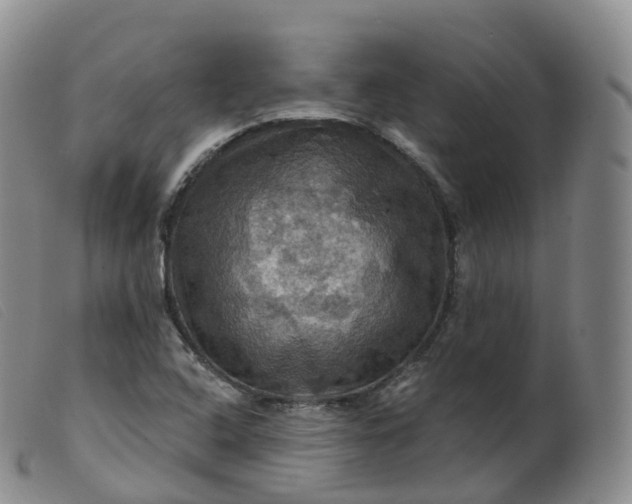 X0000099381408200805221755