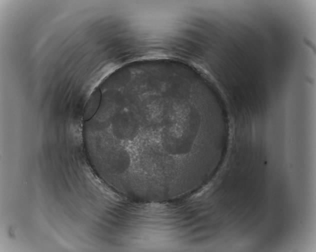 X0000099381409200805221755