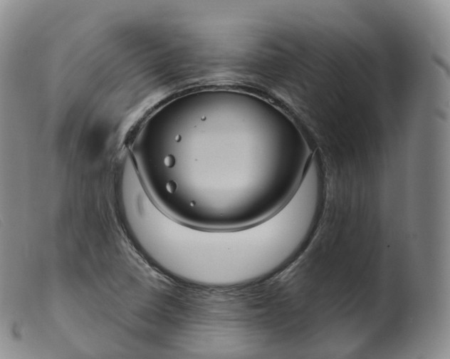 X0000099381410200805221755