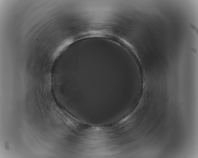 X0000099381411200805221755