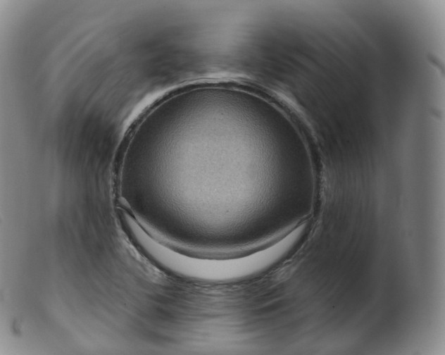 X0000099381412200805221755