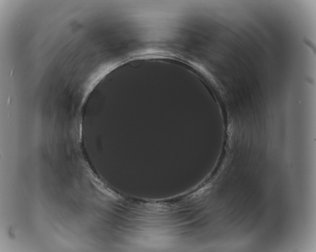 X0000099381413200805221755