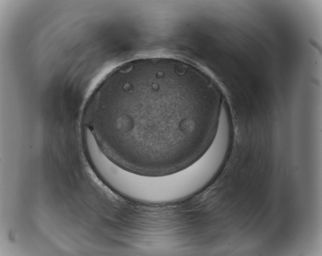 X0000099381416200805221755