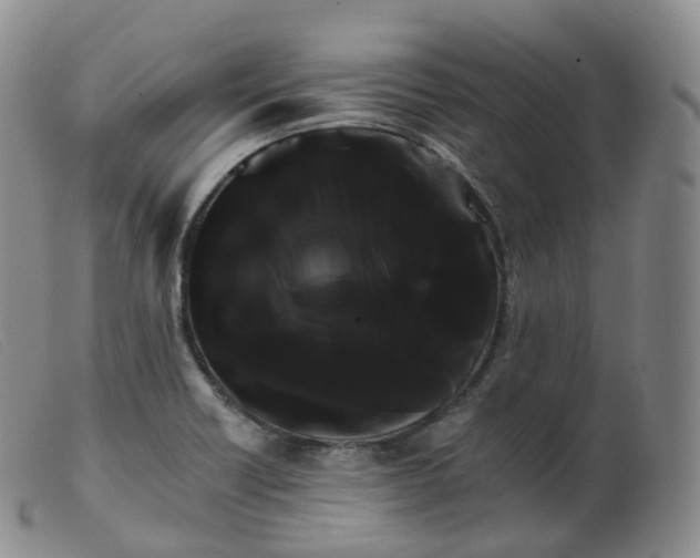 X0000099381418200805221755