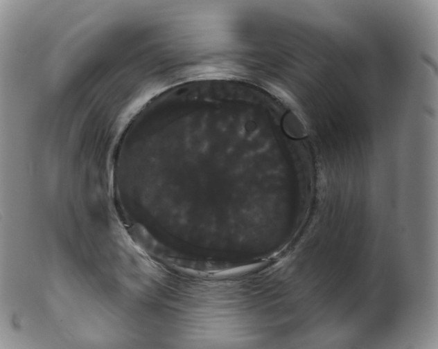 X0000099381419200805221755