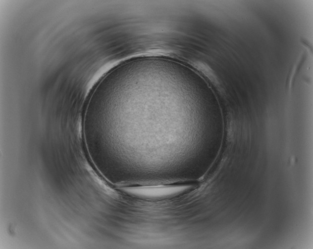 X0000099381420200805221755