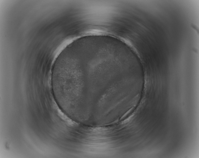 X0000099381421200805221755