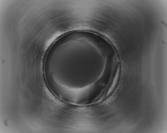 X0000099381422200805221755