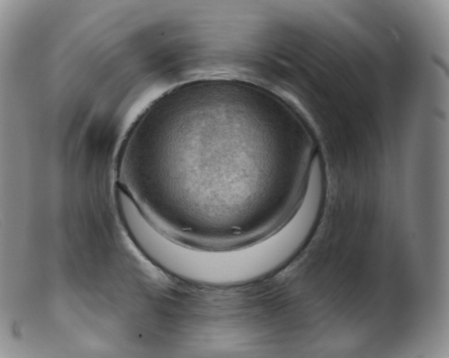 X0000099381424200805221755