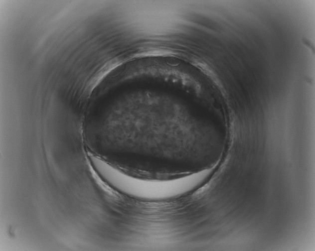 X0000099381425200805221755