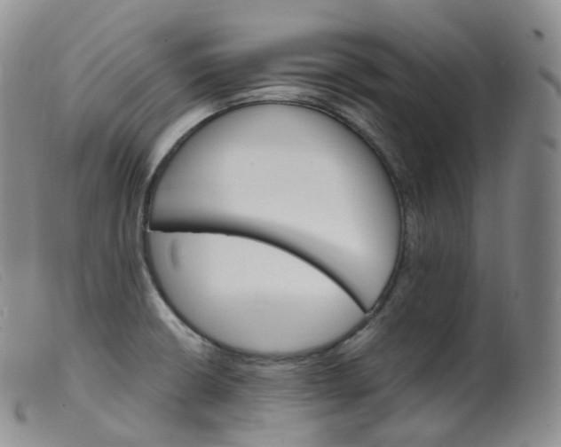 X0000099381426200805221755