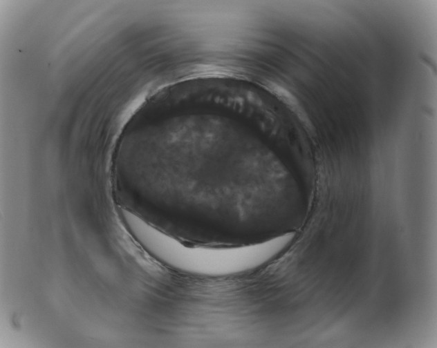 X0000099381427200805221755