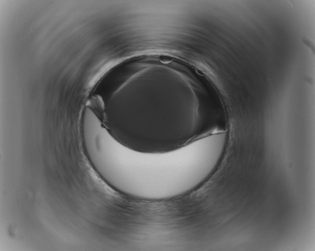 X0000099381428200805221755