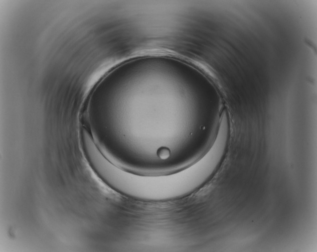 X0000099381430200805221755