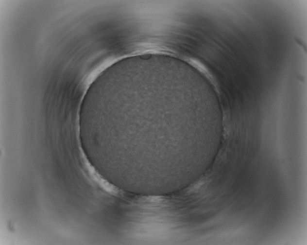 X0000099381431200805221755