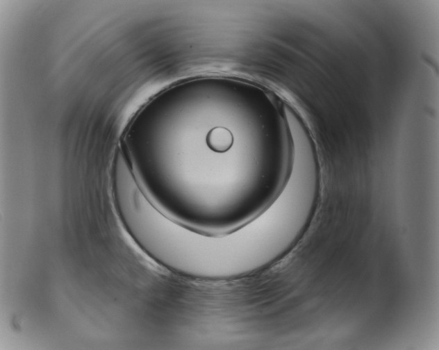 X0000099381432200805221755