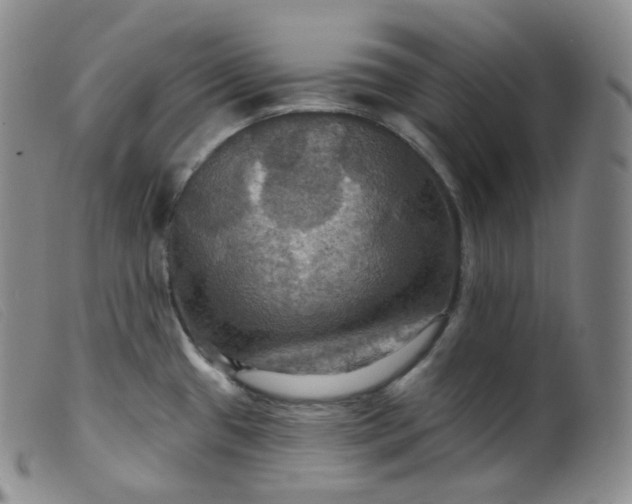 X0000099381433200805221755