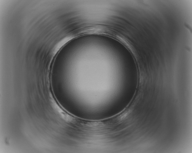 X0000099381434200805221755