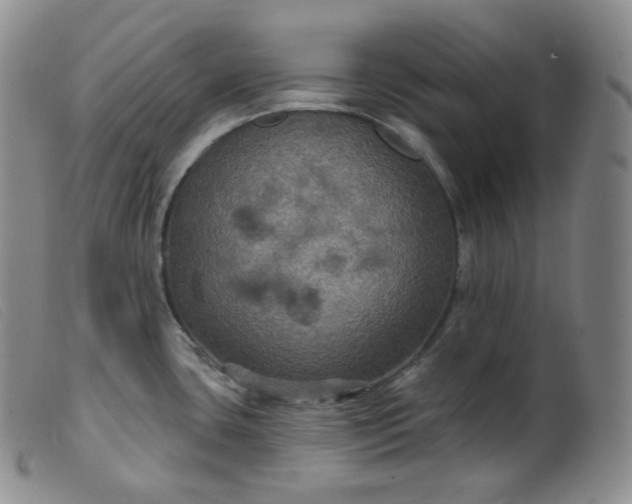 X0000099381435200805221755