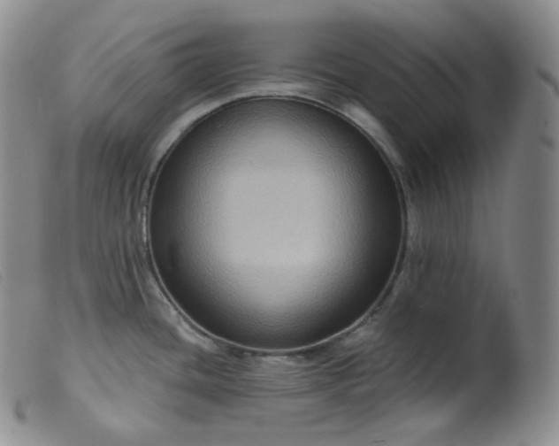 X0000099381436200805221755