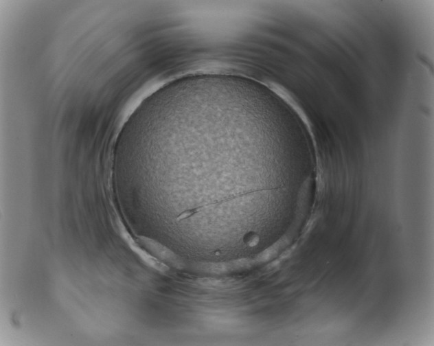 X0000099381437200805221755