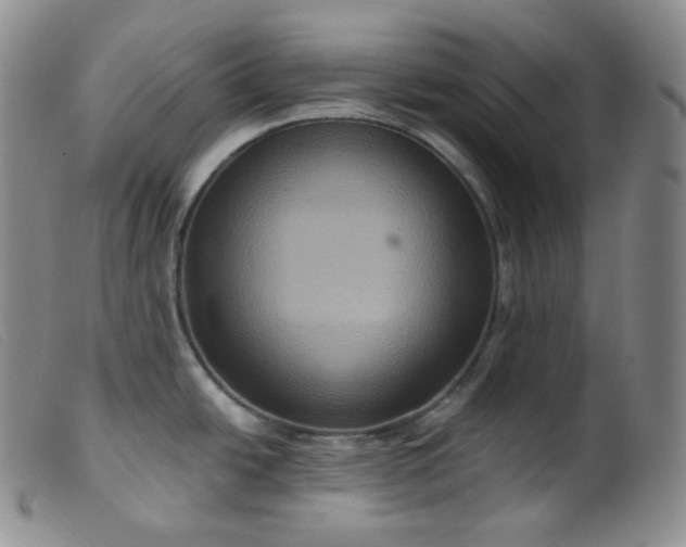 X0000099381438200805221755