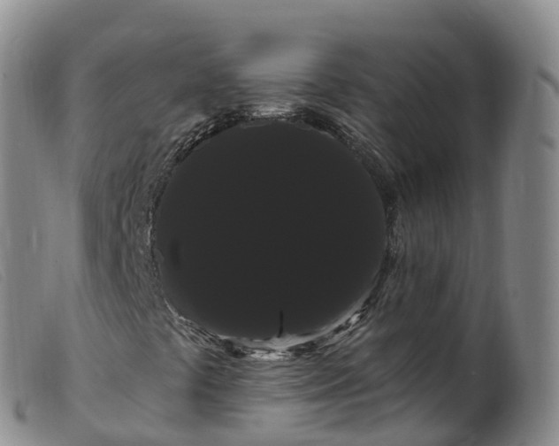 X0000099381441200805221754