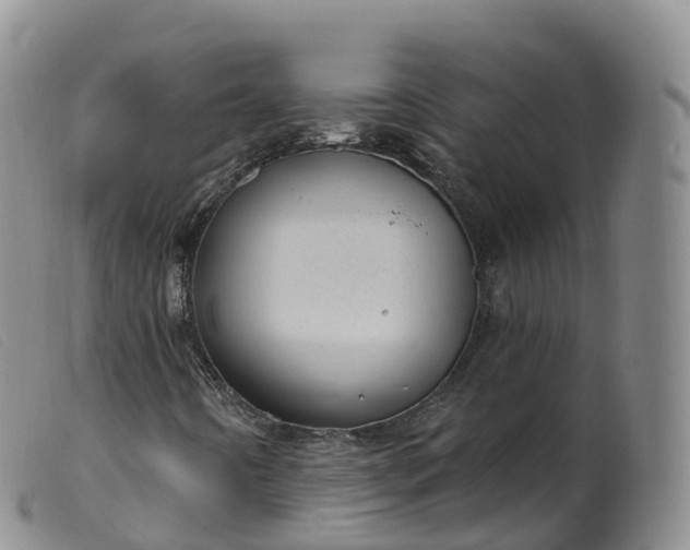 X0000099381442200805221754