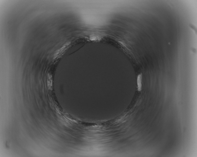 X0000099381443200805221754