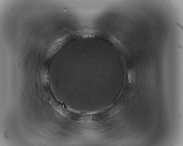 X0000099381444200805221754