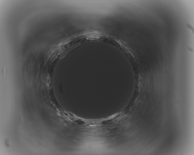 X0000099381445200805221754