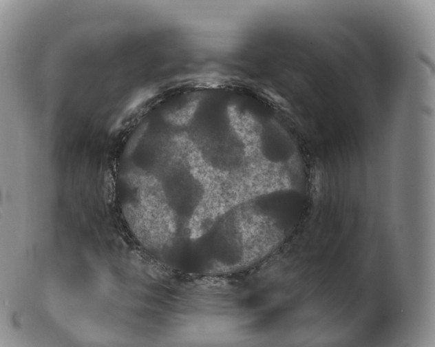 X0000099381446200805221754