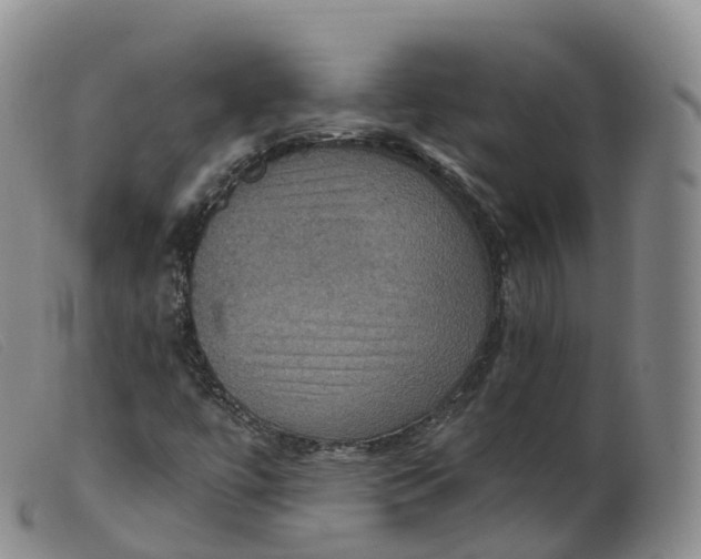 X0000099381447200805221754