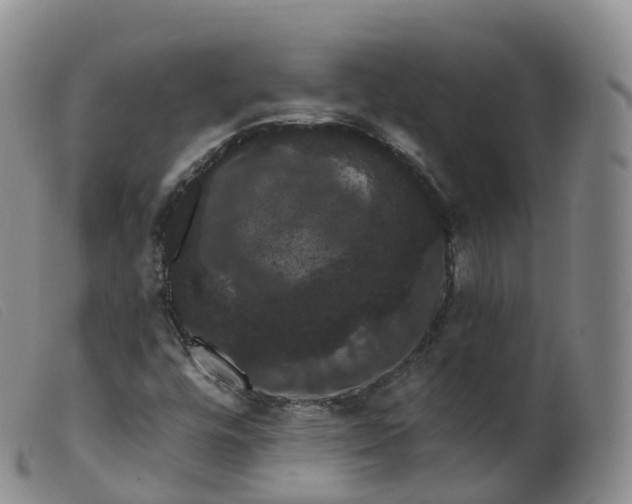 X0000099381448200805221754