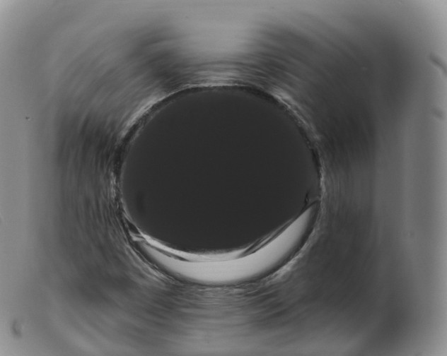 X0000099381449200805221754