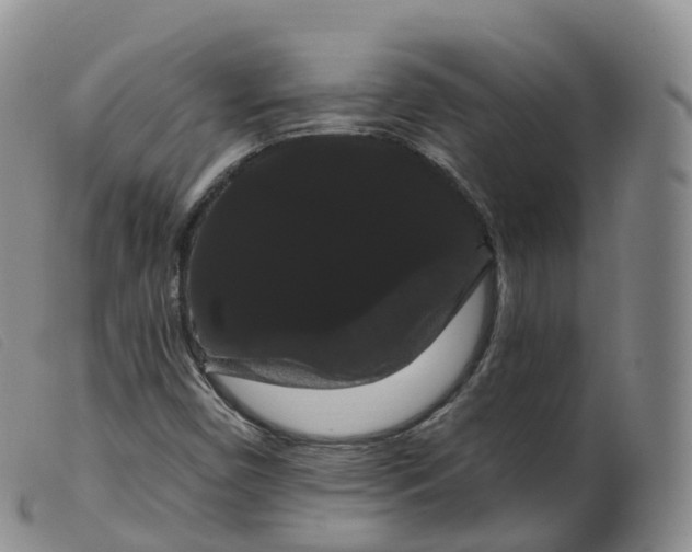 X0000099381450200805221754