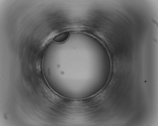 X0000099381451200805221754