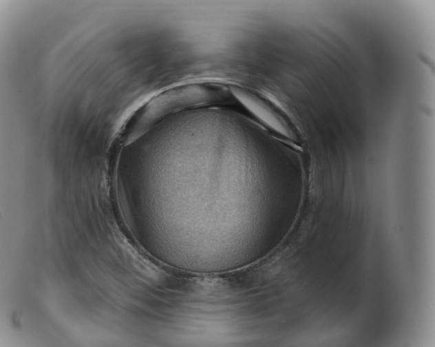 X0000099381452200805221754