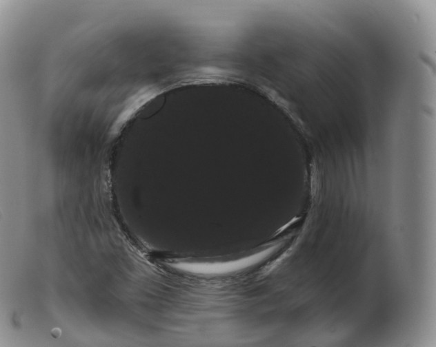 X0000099381453200805221754