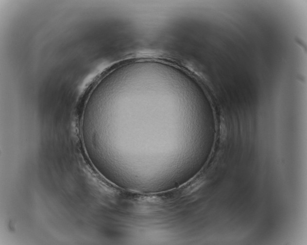 X0000099381454200805221754