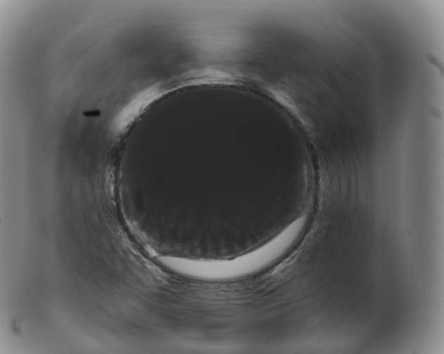 X0000099381455200805221754