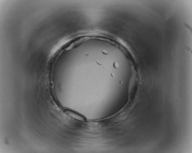 X0000099381456200805221754