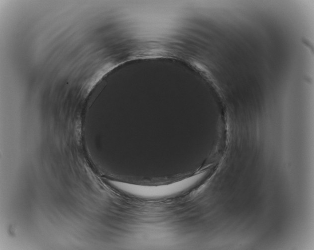 X0000099381457200805221754