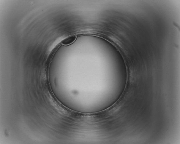 X0000099381458200805221754