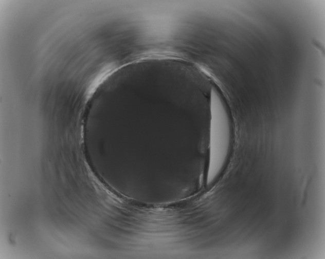 X0000099381459200805221754